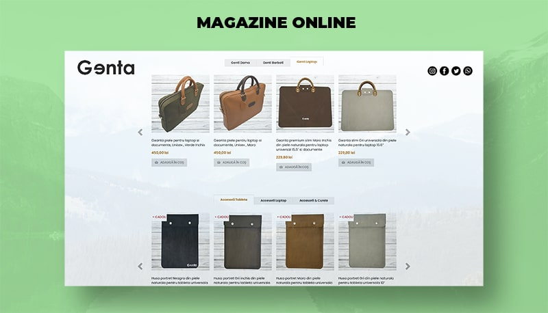 firma de creare magazine online